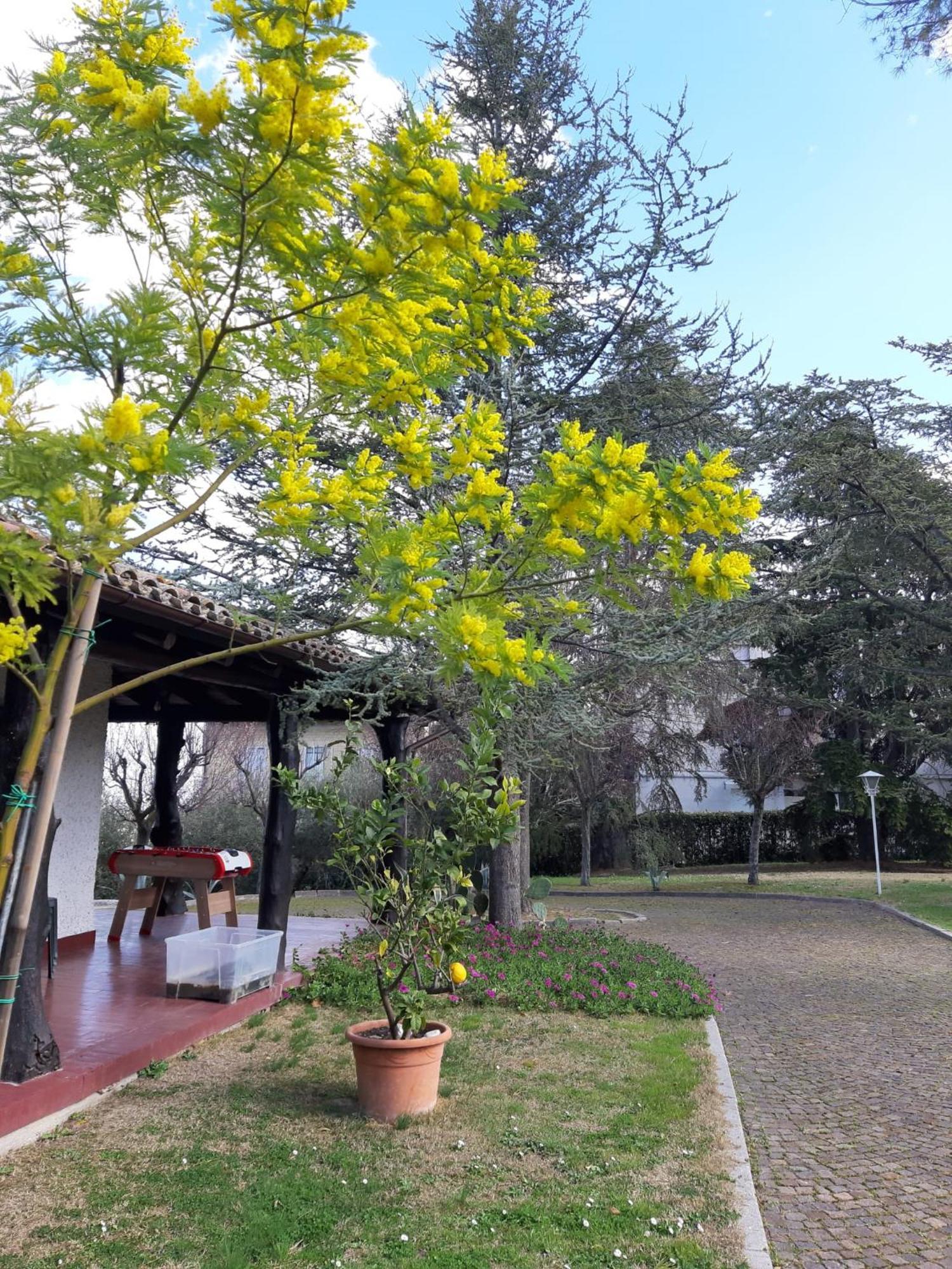B&B Villa Lupidi Corridonia Exterior foto